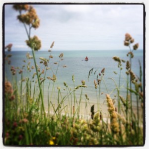 summer-meadow-above-the-sea-at-The-Pink-House-Lulworth