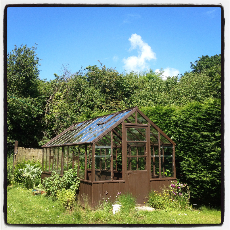 vintage-cedar-wood-greenhouse-at-The-Pink-House-Lulworth-Dorset