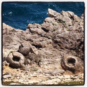 fossil forest on the Jurassic Coast by The Pink House Lulworth
