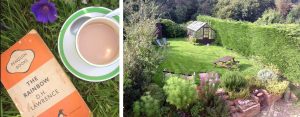 cottage garden at The Pink House Lulworth holiday home accommodation