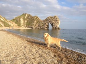 dog friendly holiday home at The Pink House Lulworth near Durdle Door Dorset