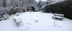 snow in the back garden at The Pink House Lulworth Dorset holiday home accommodation